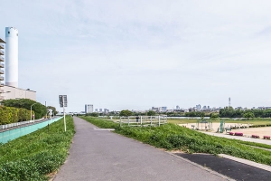 Brillia 下丸子の周辺施設：多摩川ガス橋緑地