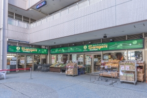 ベイズ タワー＆ガーデンの周辺施設：サカガミグランルパ豊洲店（スーパー）