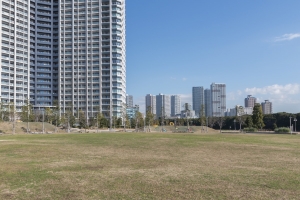 ベイズ タワー＆ガーデンの周辺施設：豊洲6丁目公園