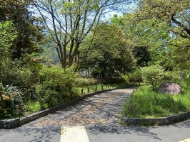 Brillia 早稲田諏訪通りの周辺施設：戸山公園