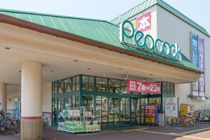 Brillia 東小金井の周辺施設：ピーコックストア東小金井店