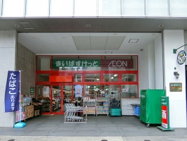 Brillia THE TOWER TOKYO YAESU AVENUEの周辺施設：まいばすけっと 新川２丁目店