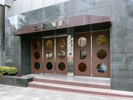 Brillia THE RESIDENCE TOKYO YAESU AVENUEの周辺施設：あい保育園新川