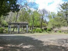 Brillia City 石神井台の周辺施設：石神井公園