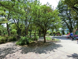 Brillia大井町 The Residenceの周辺施設：大井公園