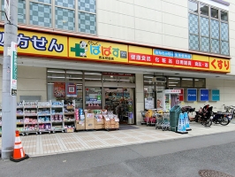 ザ・ガーデンテラス目黒の周辺施設：どらっぐぱぱす 西五反田店