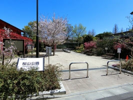 Brillia 東中野ステーションフロントの周辺施設：桜山公園