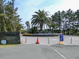 Brillia 湘南辻堂海浜公園の周辺施設：辻堂海浜公園