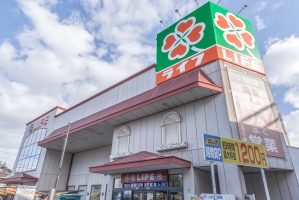 ニューハイツ石神井公園の周辺施設：ライフ石神井公園店