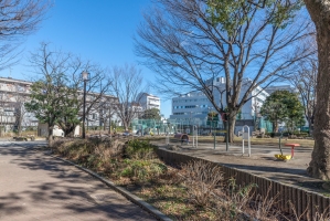 シエン・コンドミニオの周辺施設:百人町ふれあい公園