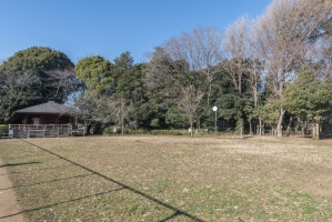 ニューハイツ田園調布の周辺施設:田園調布せせらぎ公園