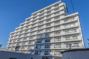 ニューハイツ田園調布