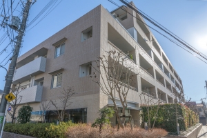 グローヴ・ステージ