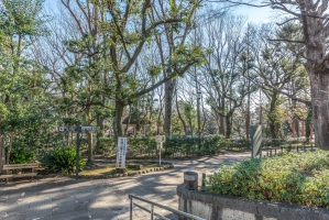 アールヴェール文京大塚公園の周辺施設:大塚公園