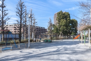 グラン・クロワージュ御殿山の周辺施設:権現山公園