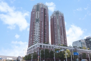 ザ・タワーズ台場