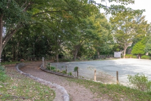 プランヴェール湘南茅ヶ崎の周辺施設:小糸台公園
