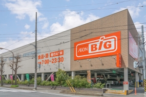 パークヴェール橋本 の周辺施設:ザ・ビッグ相模原東橋本店