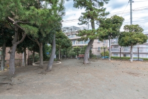 プランヴェール茅ヶ崎中海岸の周辺施設:中海岸第二公園
