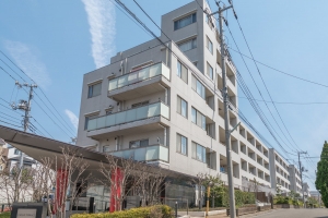 グローヴテラス国立