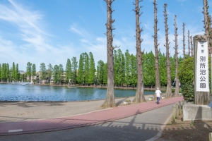 ミューズシティ ザ・ファーストタワーの周辺施設:別所沼公園