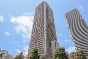 ザ・コスギタワー