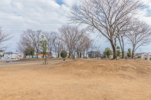 ザ・フォレストレジデンス の周辺施設:おおたかの森駅南口公園