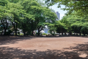 Brillia 小田急相模原の周辺施設:松が枝公園