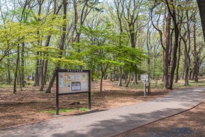 ココロコス東京久米川の周辺施設:東村山中央公園