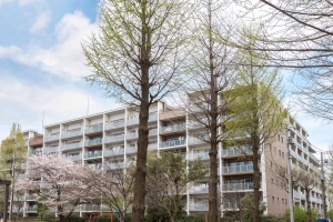 ココロコス東京久米川