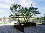 Brillia 稲毛海浜公園 のフォトギャラリー:外構