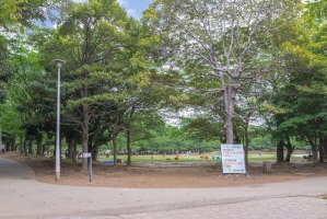 Brillia 蕨の周辺施設:蕨市民公園