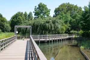 Brillia ひばりが丘 の周辺施設:西東京いこいの森公園