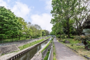 Brillia 浜田山の周辺施設:善福寺緑地