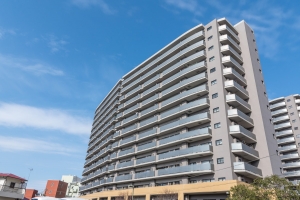 プランヴェールEX