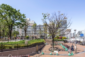 Brillia 本郷弓町の周辺施設:礫川公園