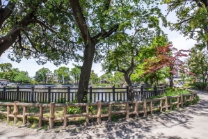 Brillia 学芸大学の周辺施設:碑文谷公園