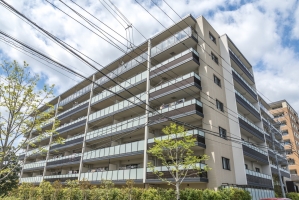 ネクサスシーズン戸塚