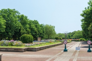 Brillia 湘南本鵠沼の周辺施設:長久保公園