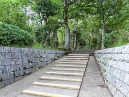 Brillia 目黒碑文谷 の周辺施設:すずめのお宿緑地公園