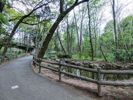 ザ・マジェスティコート目黒の周辺施設:林試の森公園